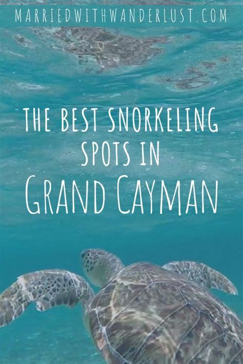 Heading to Grand Cayman? Bring your snorkeling gear with you. You won’t regret it! From sea ...