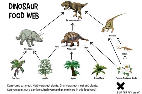 Educational resources | Dinosaurs | Butterfly Creek