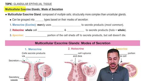 Modes of Secretion: Merocrine, Holocrine & Apocrine | Channels for Pearson+