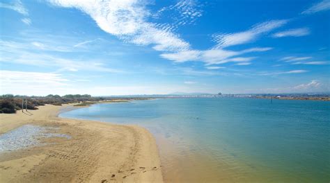 Ilha de Tavira Beach in Tavira | Expedia.co.uk