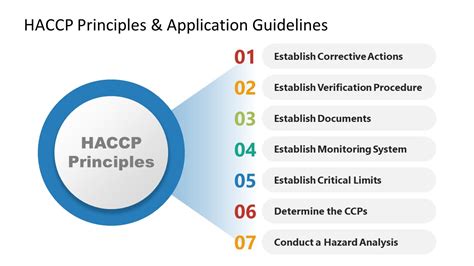 HACCP Principles and Application PowerPoint Template - SlideModel