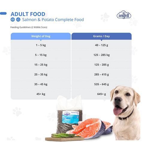 Dog Feeding Chart Printable