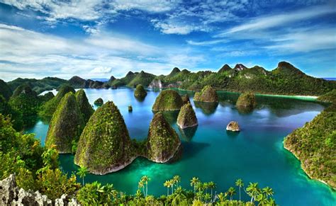 ADVENTURE : RAJA AMPAT ISLANDS