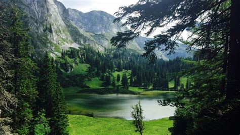 nature, Landscape, Water, Rock, Trees, Forest, Lake, Mountain, Pine Trees, Hill, Grass, Valley ...