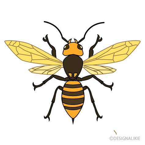 Insects clipart wasp, Insects wasp Transparent FREE for download on WebStockReview 2022