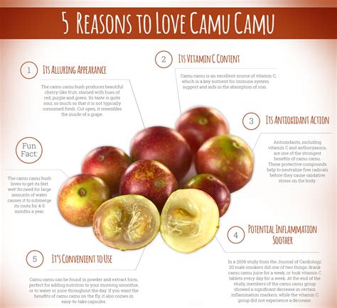 5 Best Reasons To Love Camu Camu - Yabibo