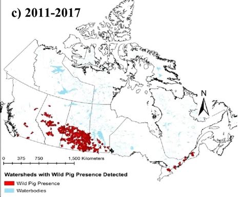 Wild pig population continues 'massive expansion' in Sask., prof warns ...