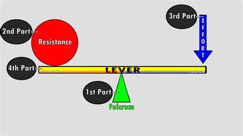 The 3 Classes of Levers – KinesiologyKris.com