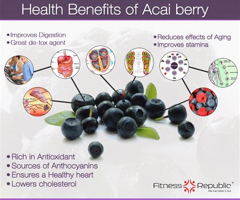 Acai Berry Benefits For Skin - Twin Fruit