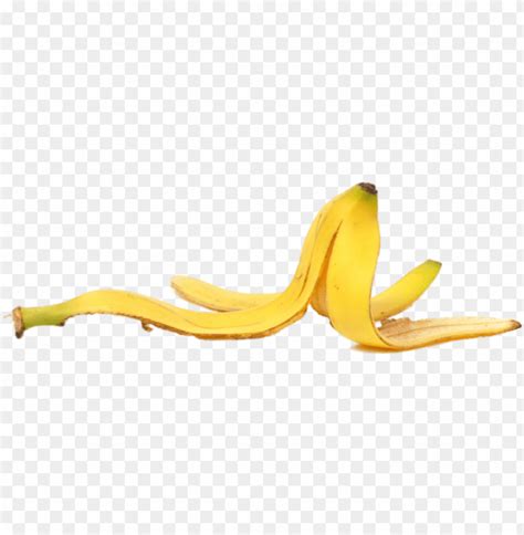 Free download | HD PNG fruits banana peel with transparent background PNG transparent with Clear ...