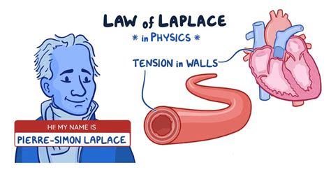 Law of Laplace: Video, Anatomy, Definition & Function | Osmosis