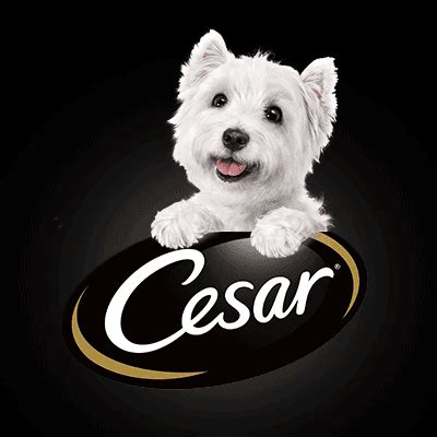 Cesar Dog Food Reviews 2022: The Most Affordable Gourmet?