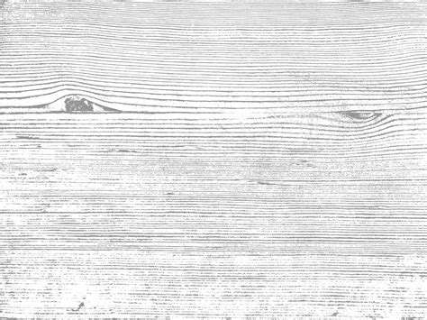 Wood Grain Texture Black And White Vector