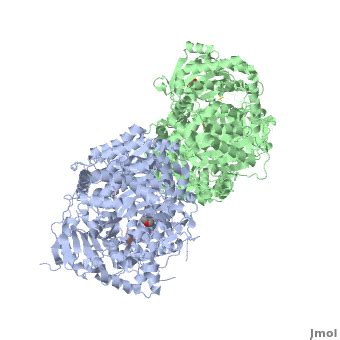 Insulin-Degrading Enzyme - Proteopedia, life in 3D