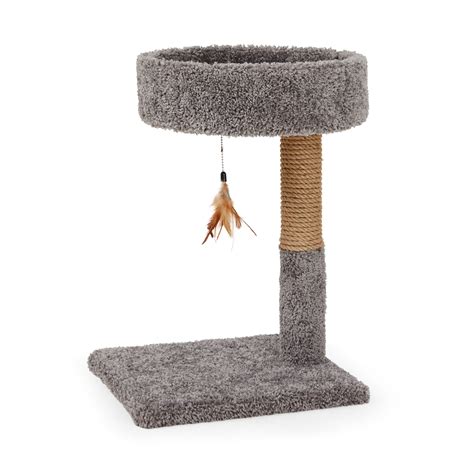 EveryYay Lookout Loft Cat Tree Perch with Scratching Post, 24" H | Petco