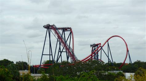 SheiKra em Tampa Bay’s Busch Gardens | Roller coaster, Scary roller ...