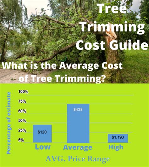 Tree Trimming & Pruning Cost - Expert Services How Get Estimate cost