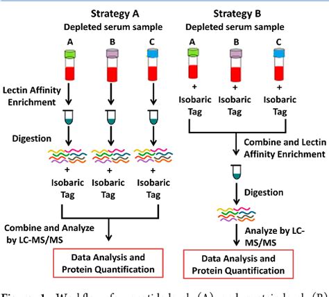 Figure 2 from Isobaric protein-level labeling strategy for serum ...