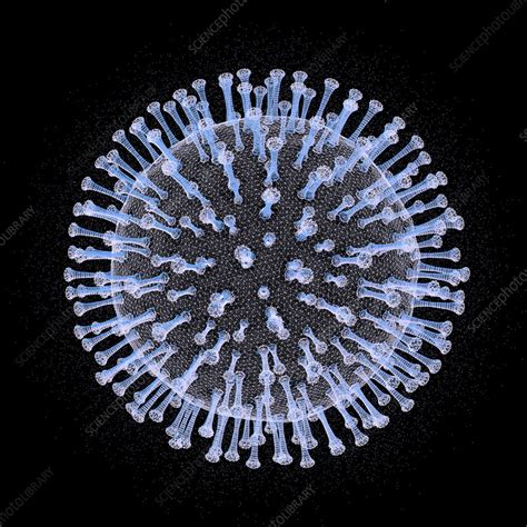 Coronavirus particle, illustration - Stock Image - F030/7439 - Science Photo Library