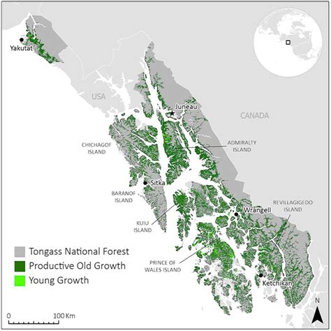 End old-growth logging in carbon-rich ‘crown jewel’ of U.S. forests: Study