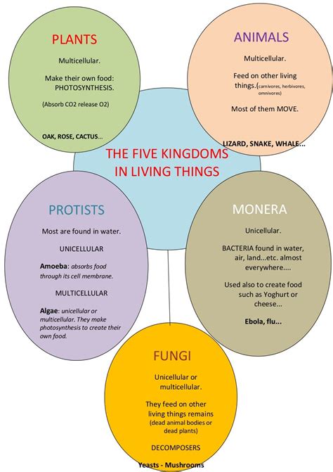 living things: 5 kingdoms