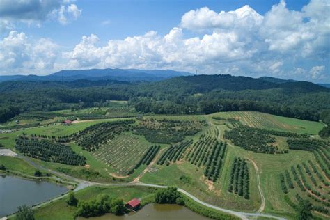 Mercier Orchards | Aerial view, Heaven, Farmland