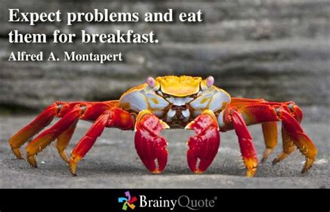 Crab Quotes - ShortQuotes.cc