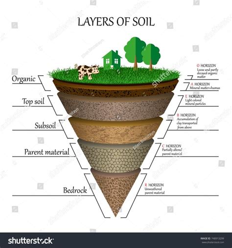 Layers Soil Education Diagram Mineral Particles Stock Vector (Royalty Free) 748913299 | Soil ...