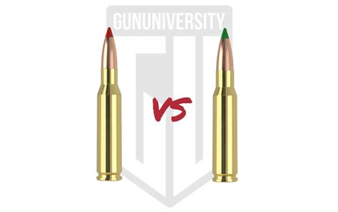 7mm-08 vs. 308 Win: 2024 Ammo Comparison