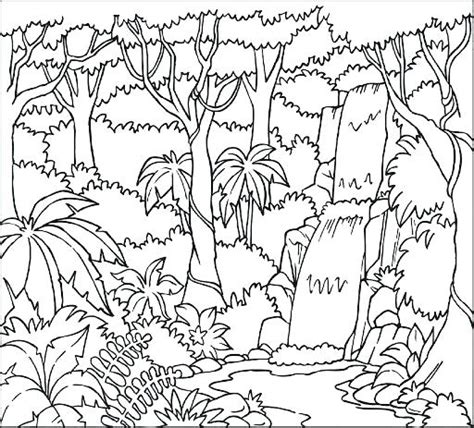 Layers Of The Rainforest Coloring Page at GetColorings.com | Free ...