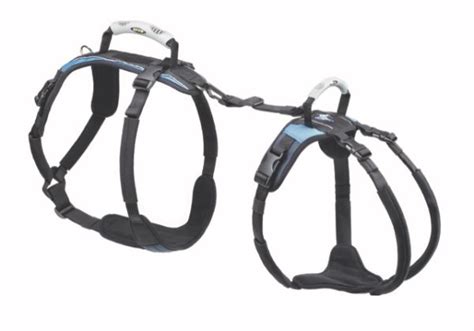 Help 'Em Up Harness - Dogs In Motion Canine Rehabilitation