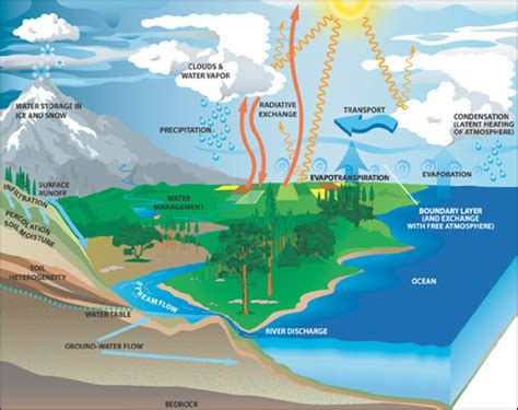 NASA Earth Science: Water Cycle | Precipitation Education