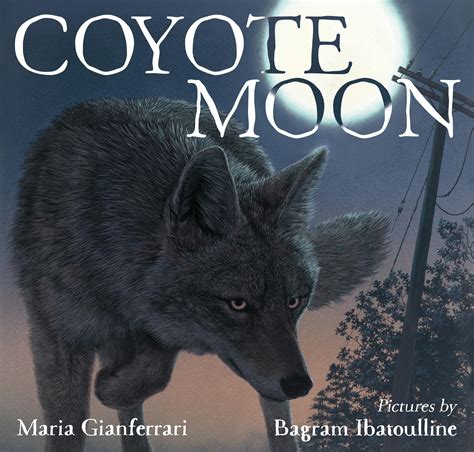 Coyote Moon