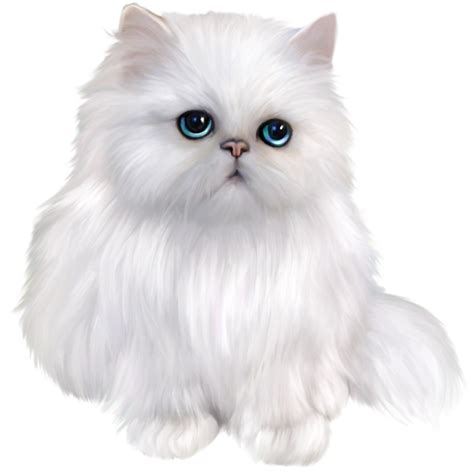 White Persian Cat Clipart | Gatti persiani bianchi, Gatti persiani, Gattini