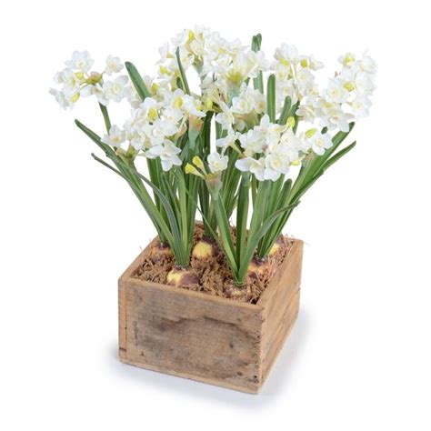 Paperwhite Narcissus Faux Arrangement | White flower arrangements, Paperwhites, Fake flowers