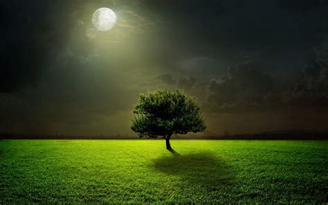 Dark Nature Wallpapers - Top Free Dark Nature Backgrounds - WallpaperAccess