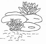 Free Printable Lily Pad Coloring Pages For Kids sketch template