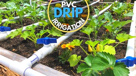 PVC Drip Irrigation System EASY DIY | romulogoncalves.com.br