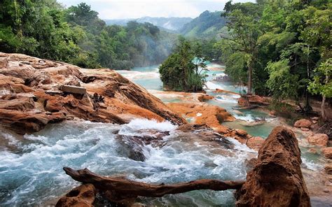 Natural Beauty, Cascade River In Jungle Rocky Riverbed Thick Green Forest With Trees Wallpaper ...