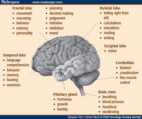 Pin on Glioblastoma (Brain Cancer)