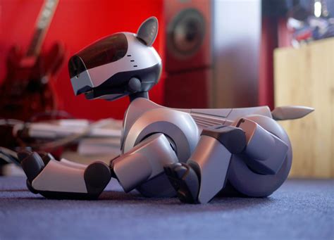 Robot dogs could replace real pets in cities | StuffedParty.com | The community for stuffed toys