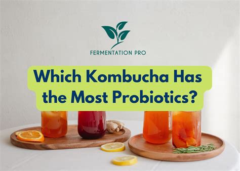 Which Kombucha Has the Most Probiotics?