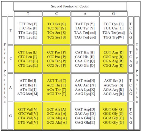 The genetic code table. | Download Scientific Diagram