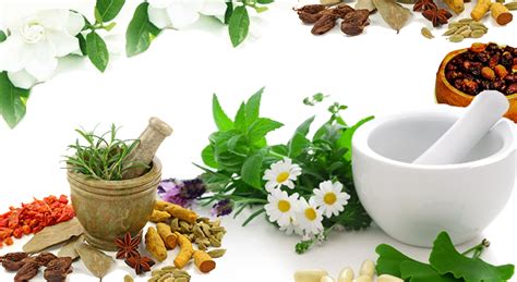 Herbal Medicinal Products Market,Herbal Products Industries,Small Scale ...