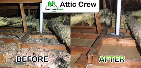 Attic Clean Up » Attic Crew