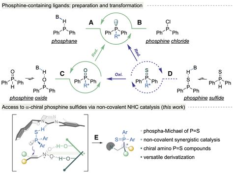 Synthesis of α-chiral phosphine sulfides via non-covalent organocatalysis: Cell Reports Physical ...