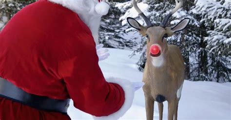 Woman reveals incredible revelation about Santa's reindeer – it's all in the antlers - Mirror Online