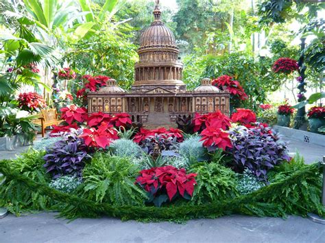 Washington Dc Botanical Gardens – Beautiful Flower Arrangements and Flower Gardens