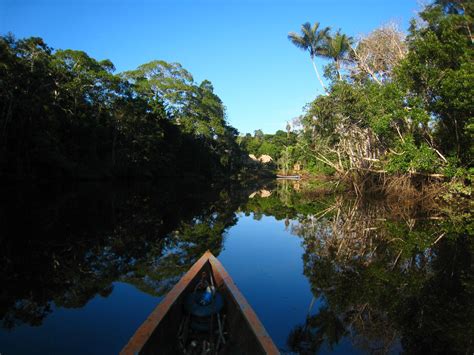 Huasquila Amazon Lodge: 10 Places to Visit in Ecuador Amazon Rainforest