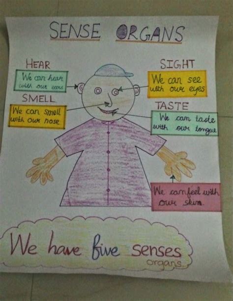 Outstanding Sense Organs Project For Kids Autism Emotions Worksheets